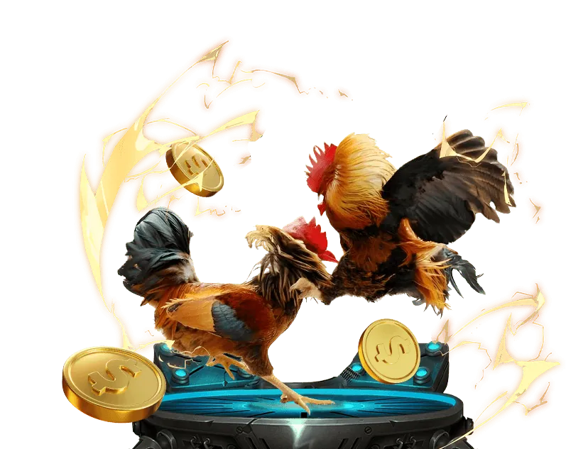 Cá cược thể thao trên S666